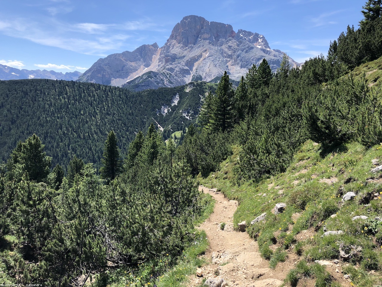 247583-vallandro-img8998.jpg