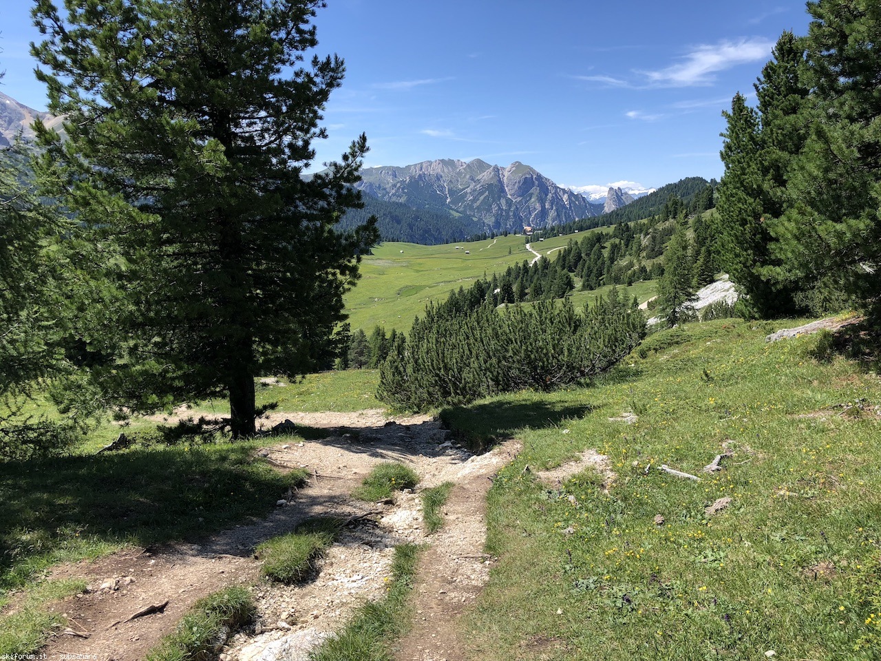 247586-vallandro-img9002.jpg
