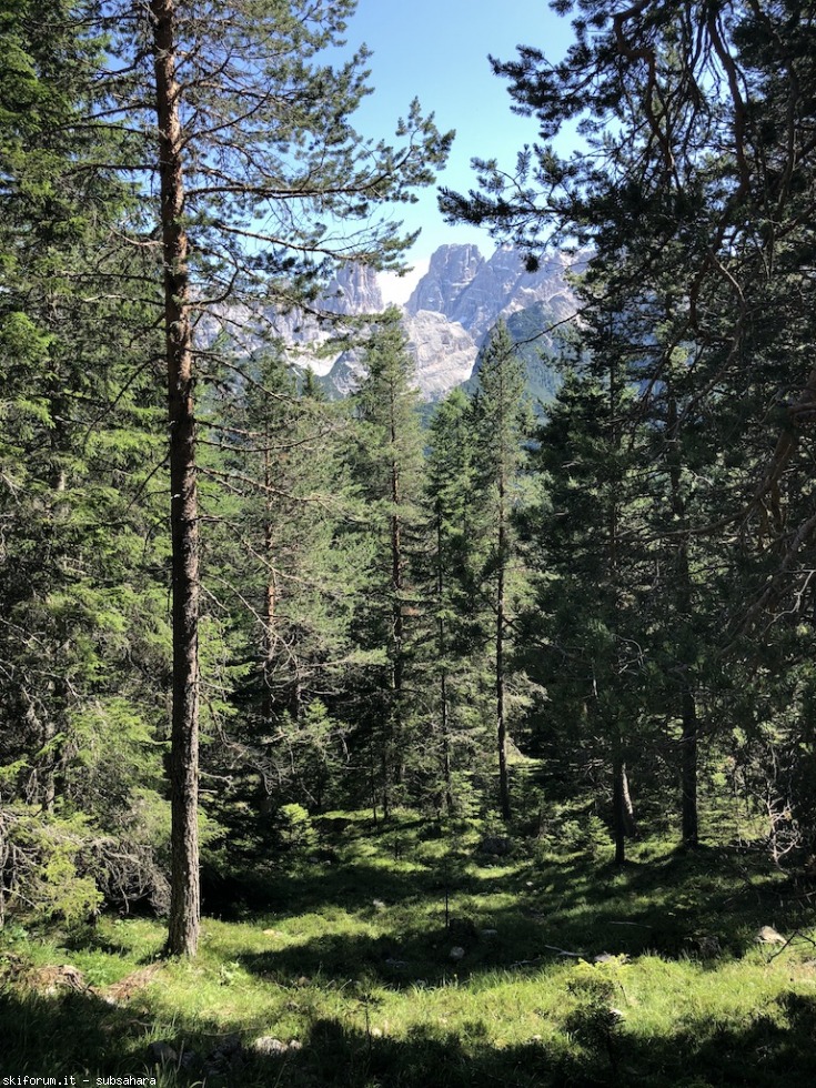 247593-vallandro-img9009.jpg