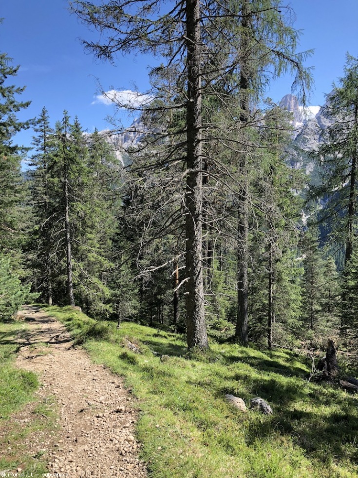 247594-vallandro-img9010.jpg