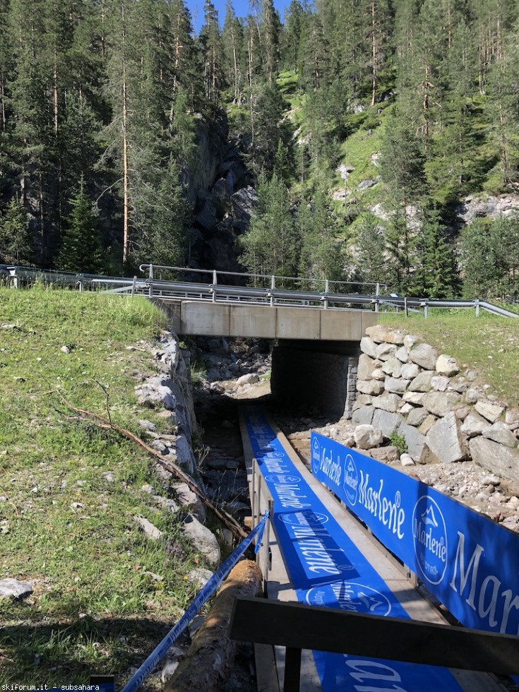 247600-vallandro-img9018.jpg