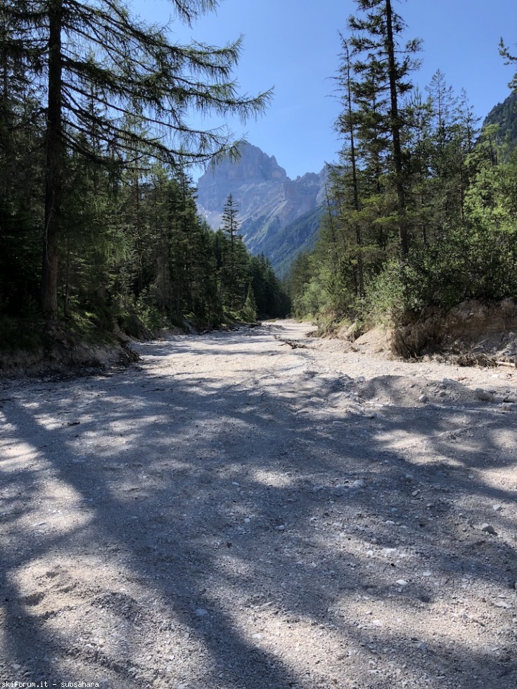 247603-vallandro-img9022.jpg