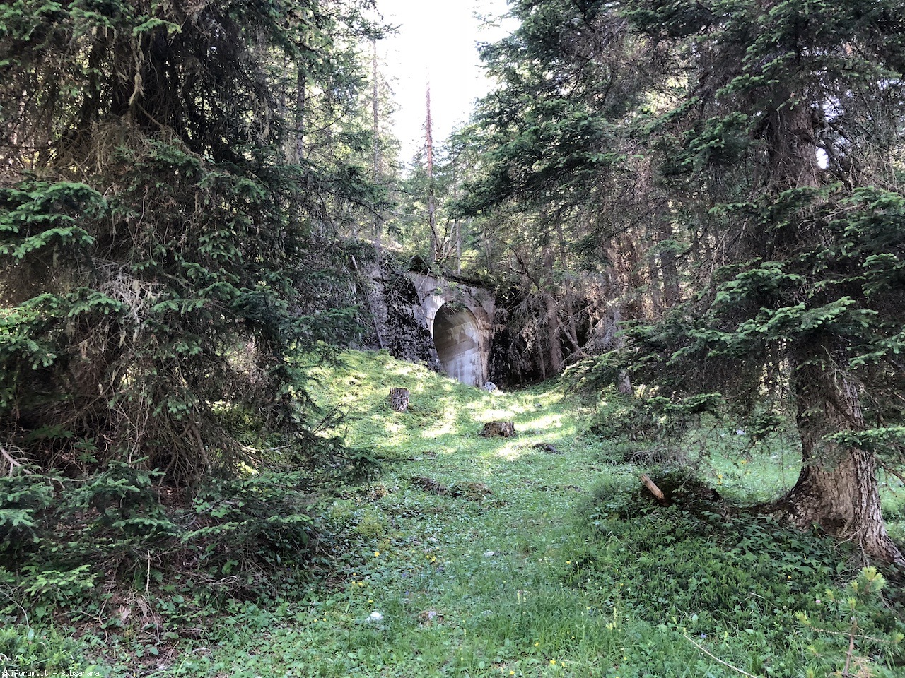 247604-vallandro-img9023.jpg
