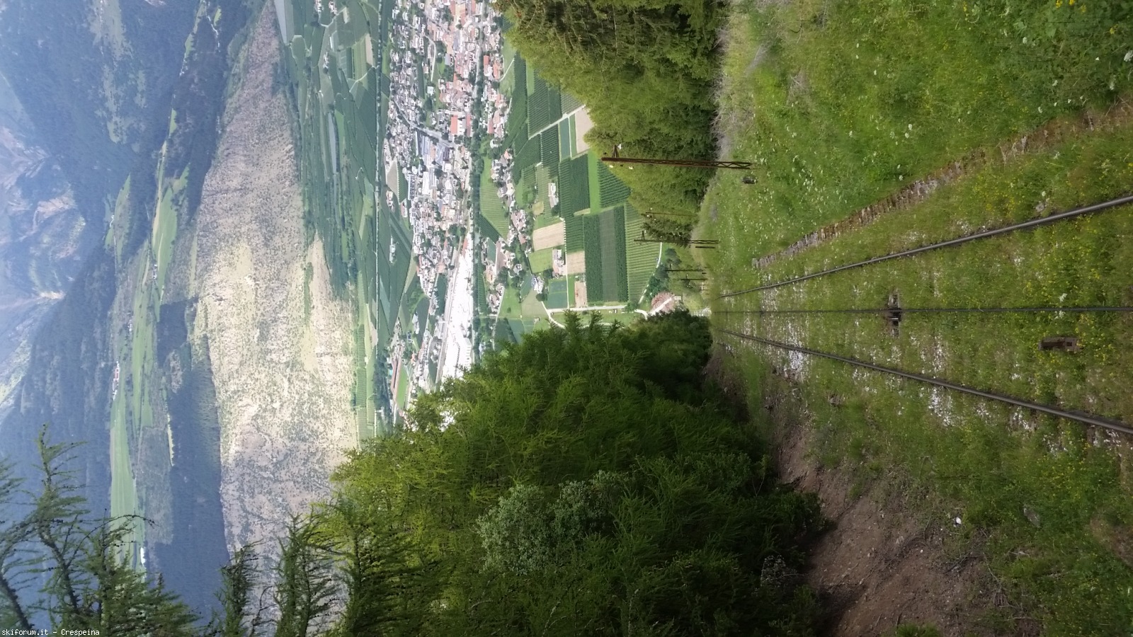 247766-8.jpg