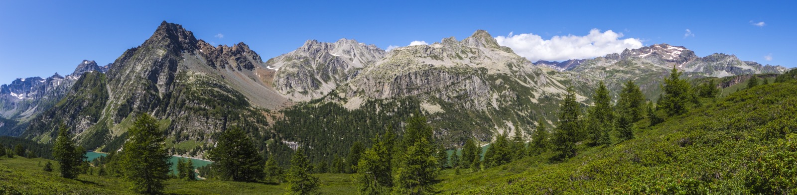 248561-img9887-pano.jpg