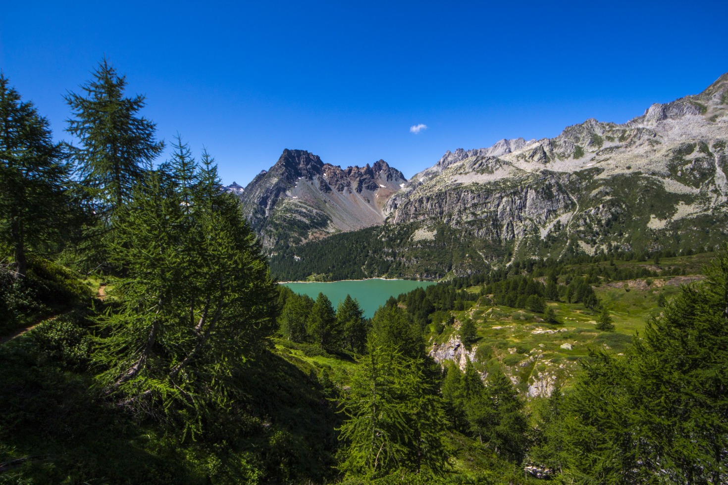 248562-img9879.jpg