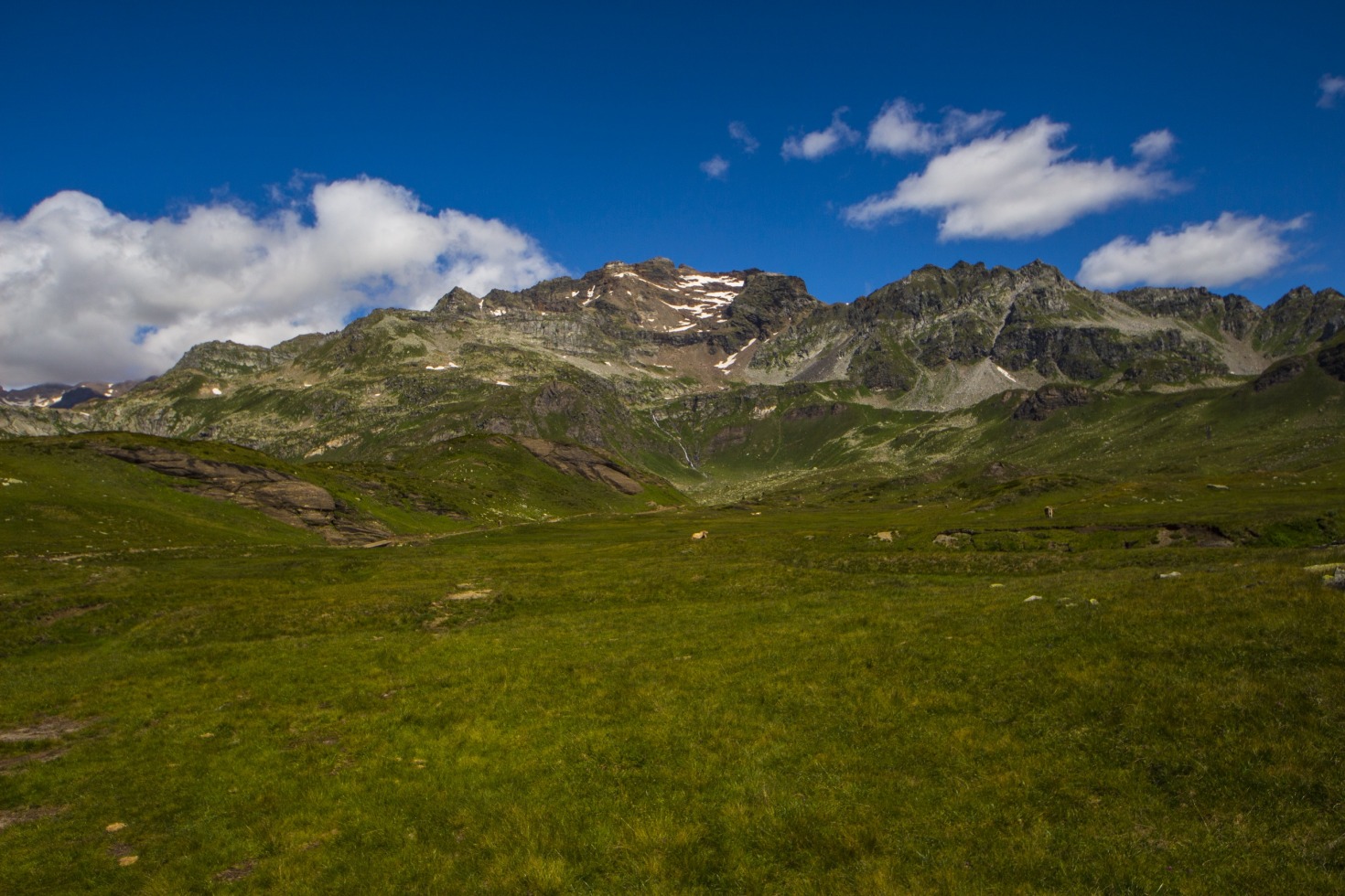 248565-img9873.jpg