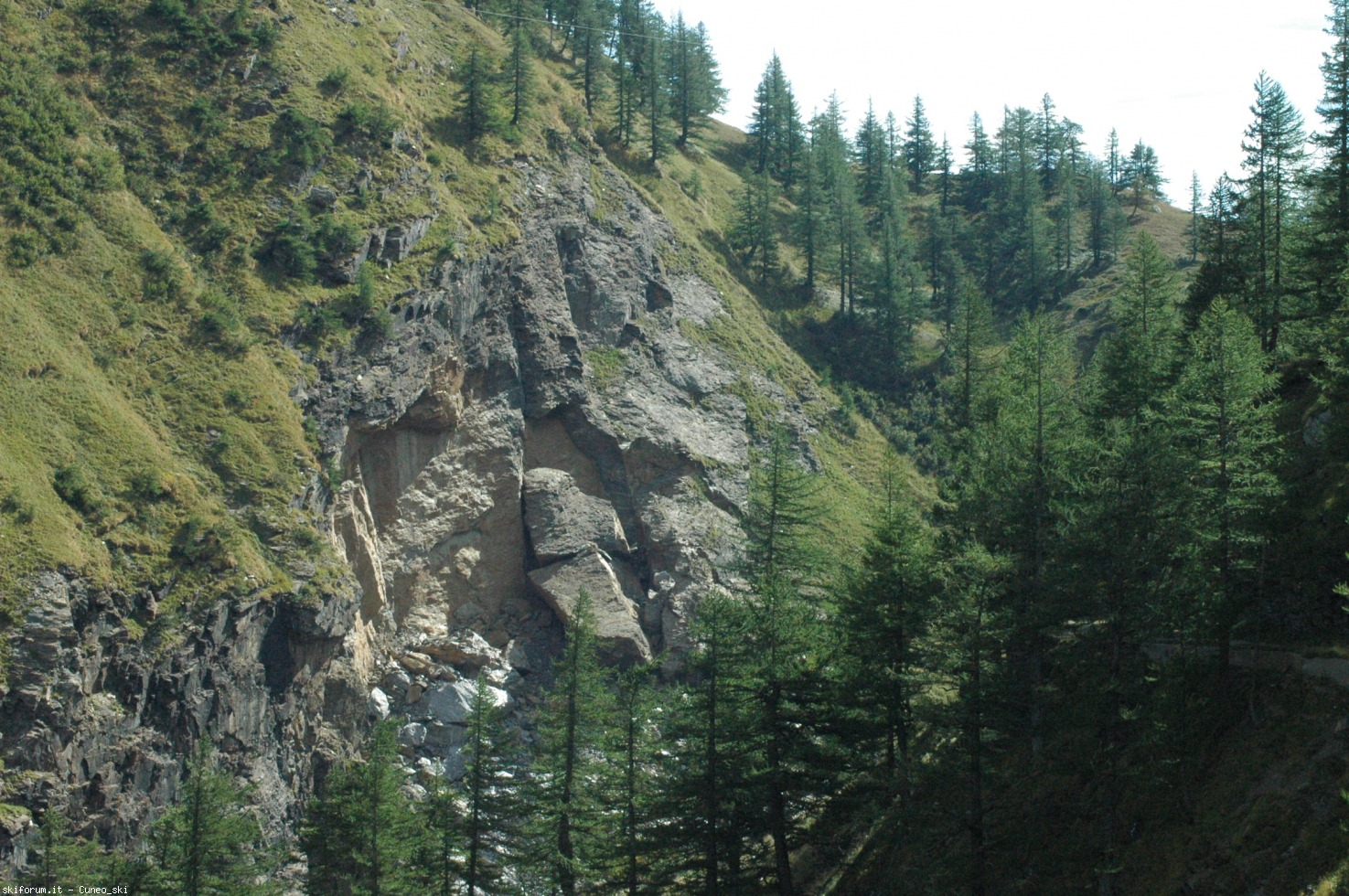 248909-dsc7099.jpg