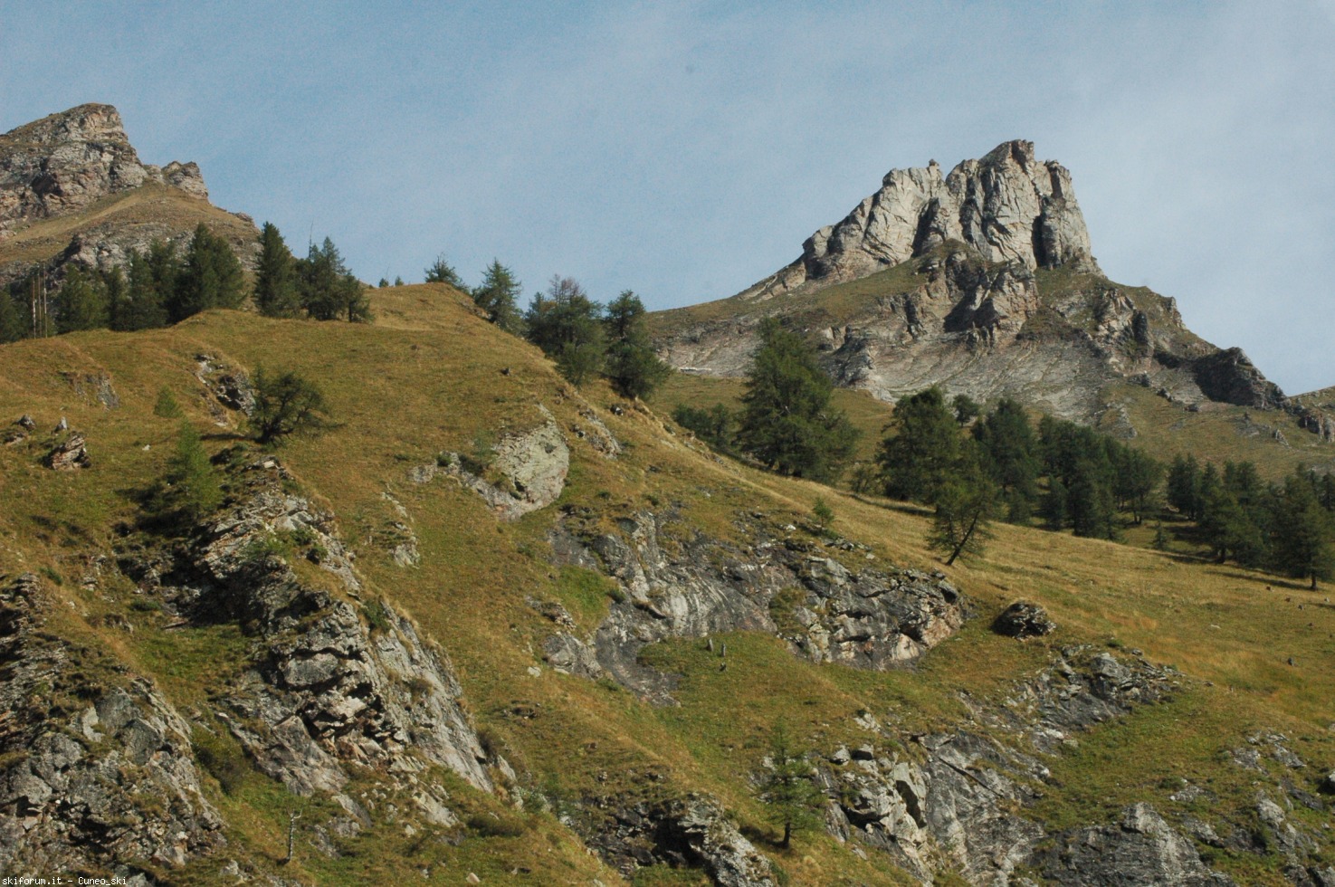 248910-dsc7067.jpg