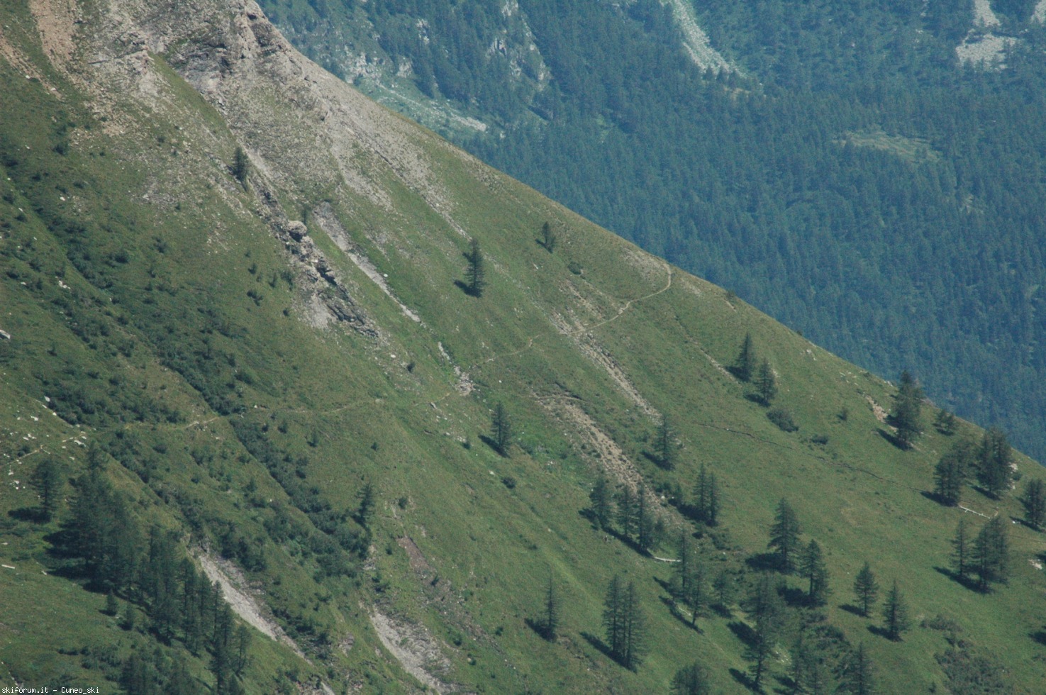 248949-07082019-dsc7904.jpg