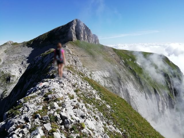 249467-img201908090940061.jpg