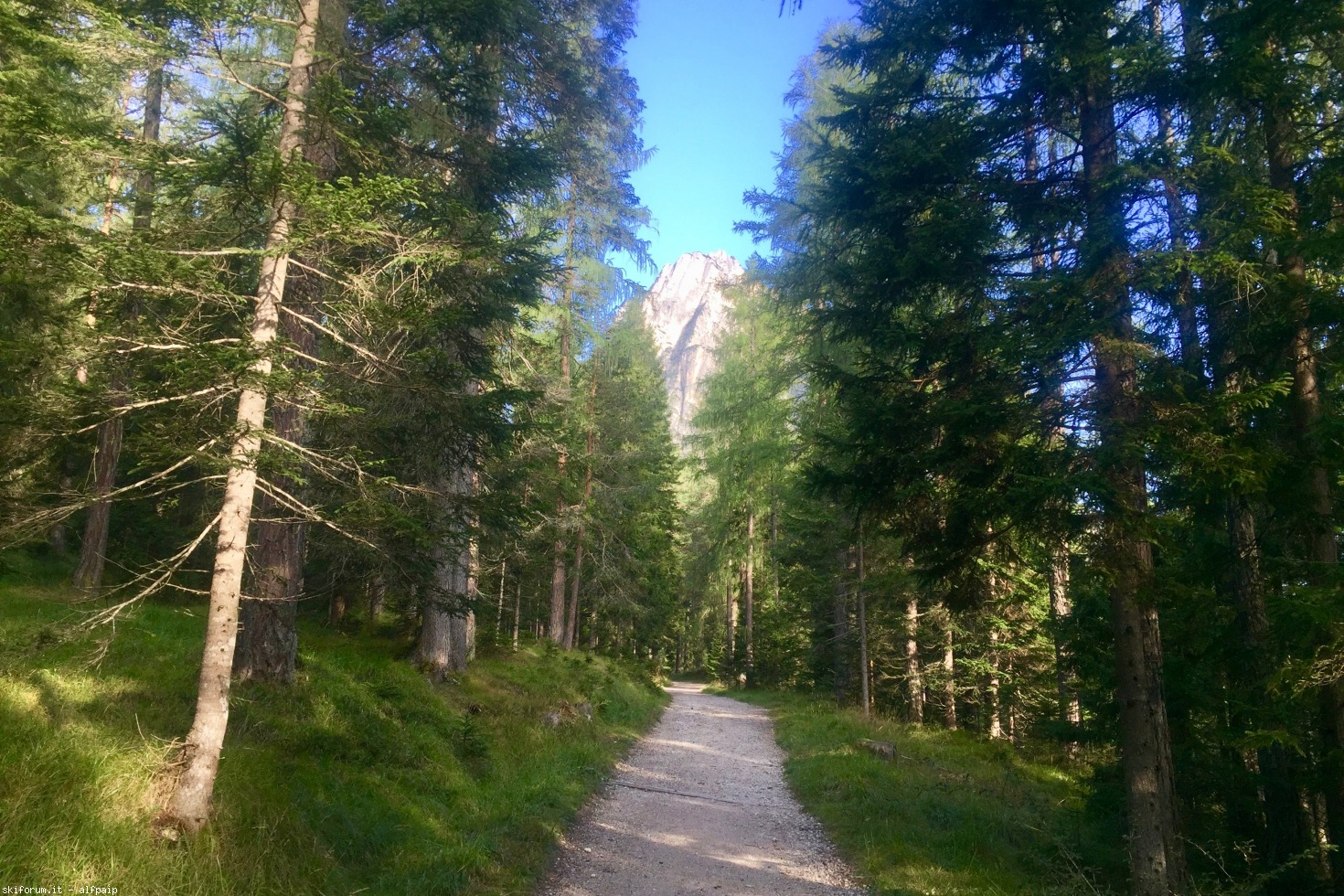 251030-ferrata-e.-bovero-2019-09-10-col-ros-1.jpg