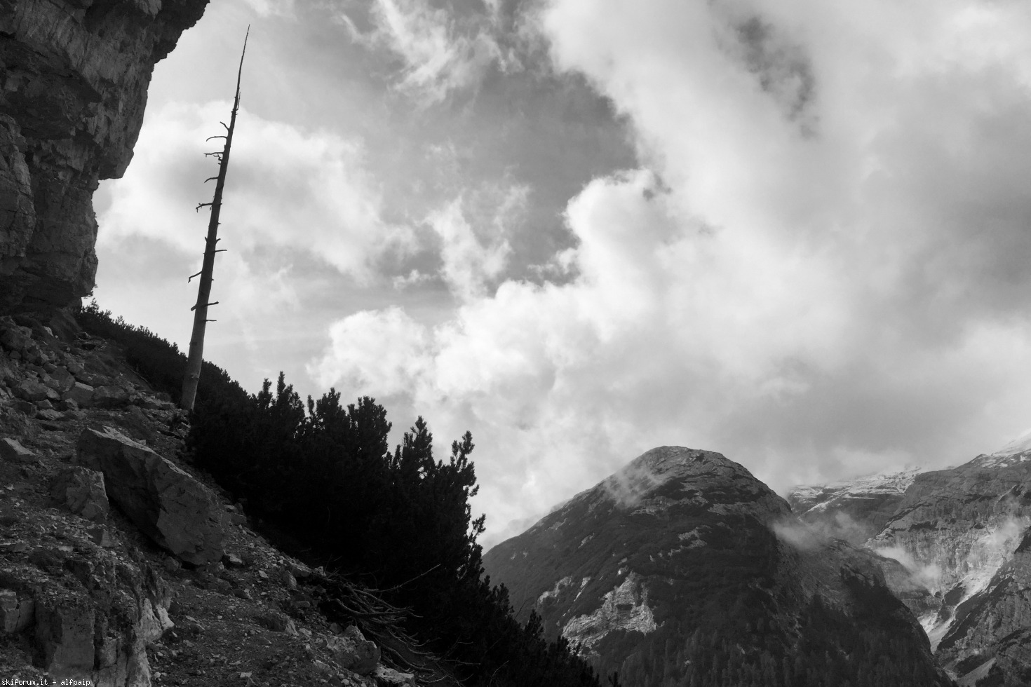 251036-ferrata-e.-bovero-2019-09-10-col-ros-16.jpg