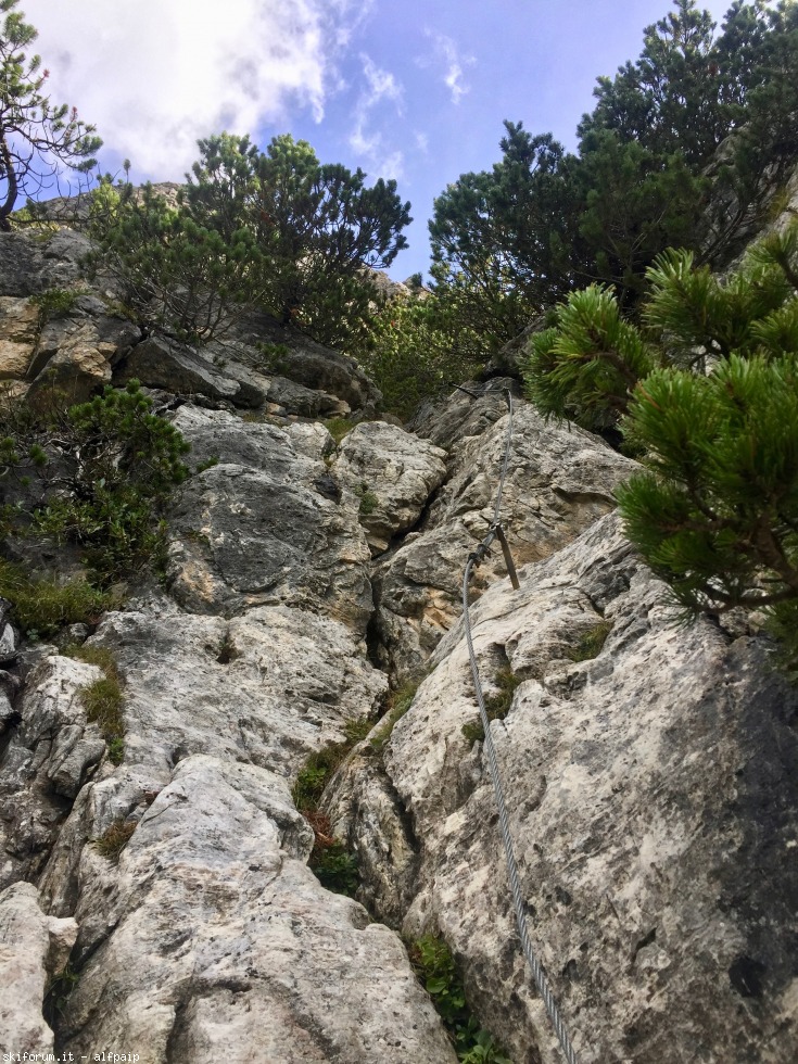 251041-ferrata-e.-bovero-2019-09-10-col-ros-22.jpg