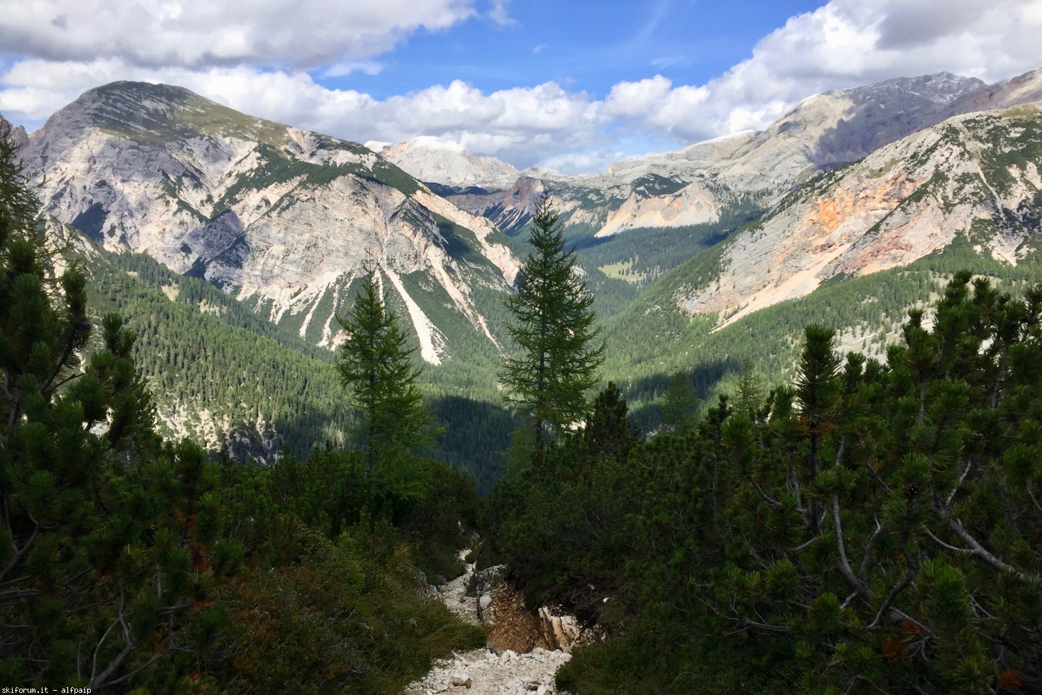 251061-ferrata-e.-bovero-2019-09-10-col-ros-86.jpg