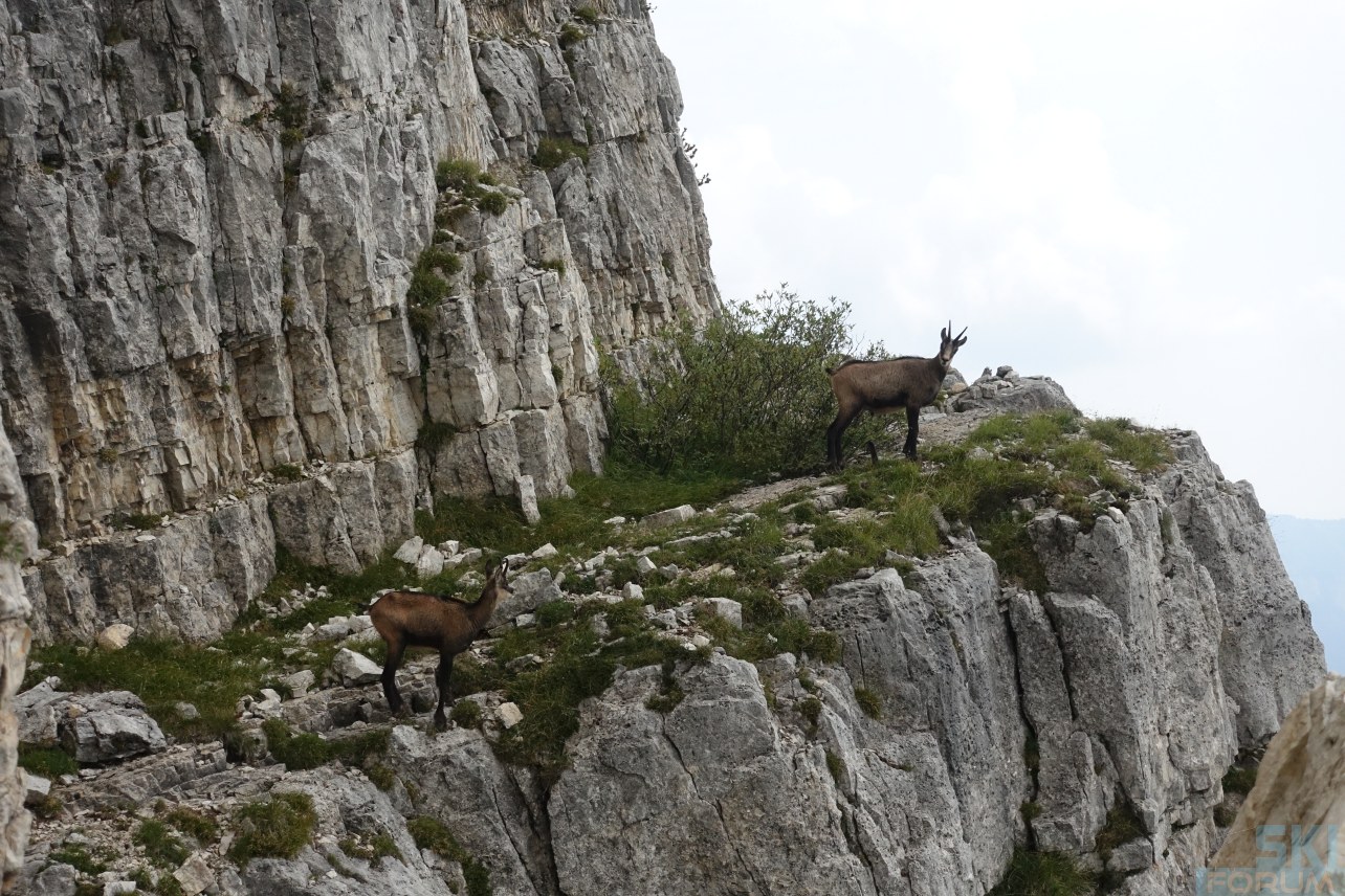 251205-pasubio-ronle-03.jpg