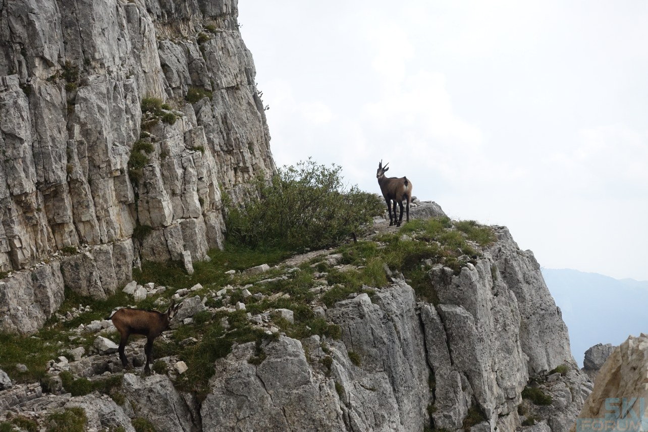 251206-pasubio-ronle-04.jpg