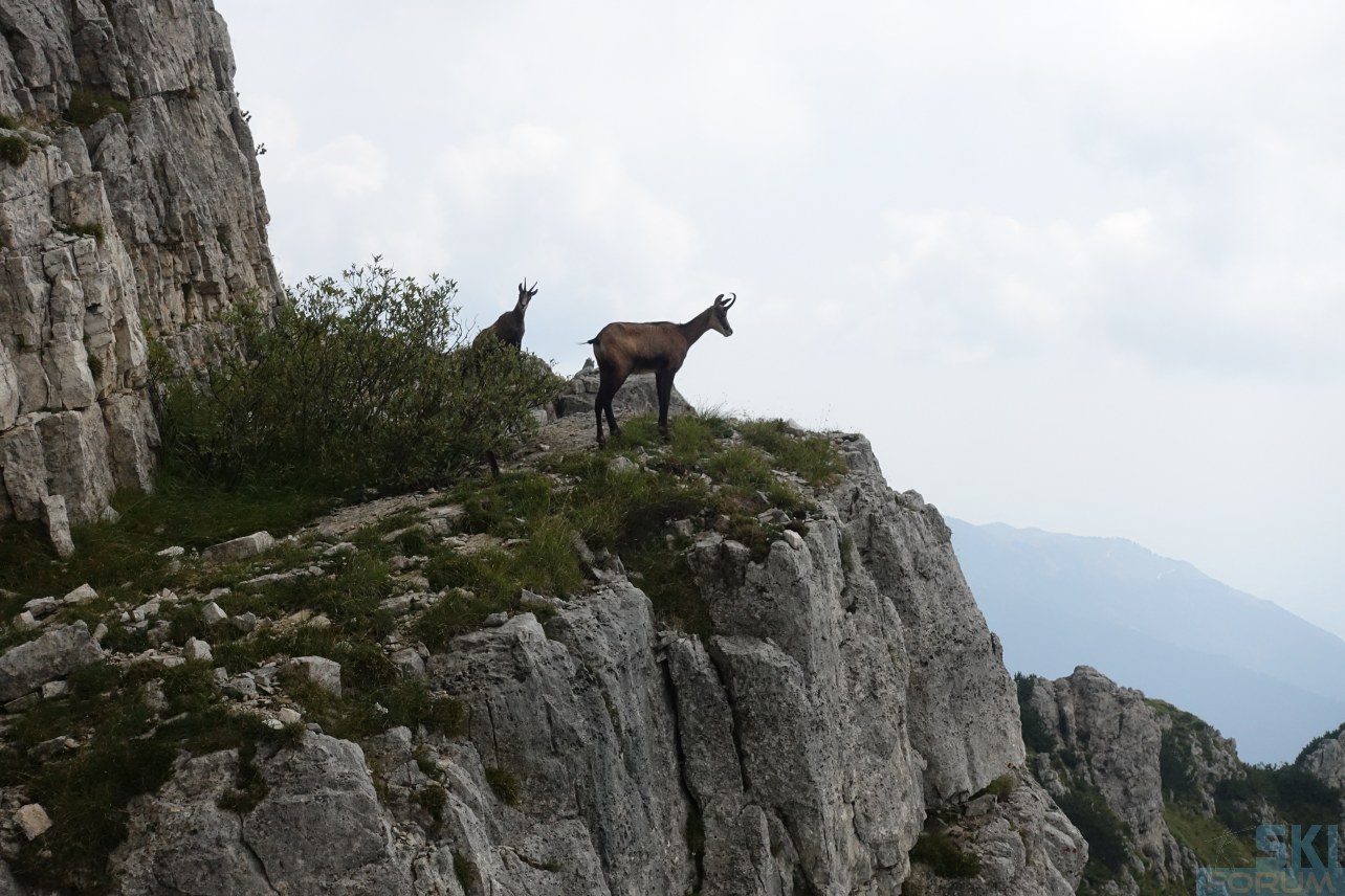 251207-pasubio-ronle-05.jpg