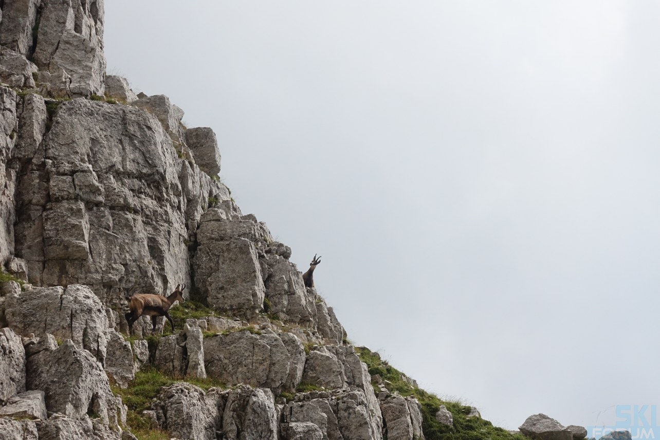 251208-pasubio-ronle-06.jpg