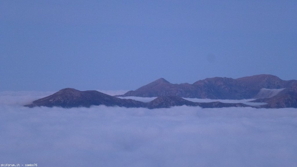 251297-p1190622.jpg
