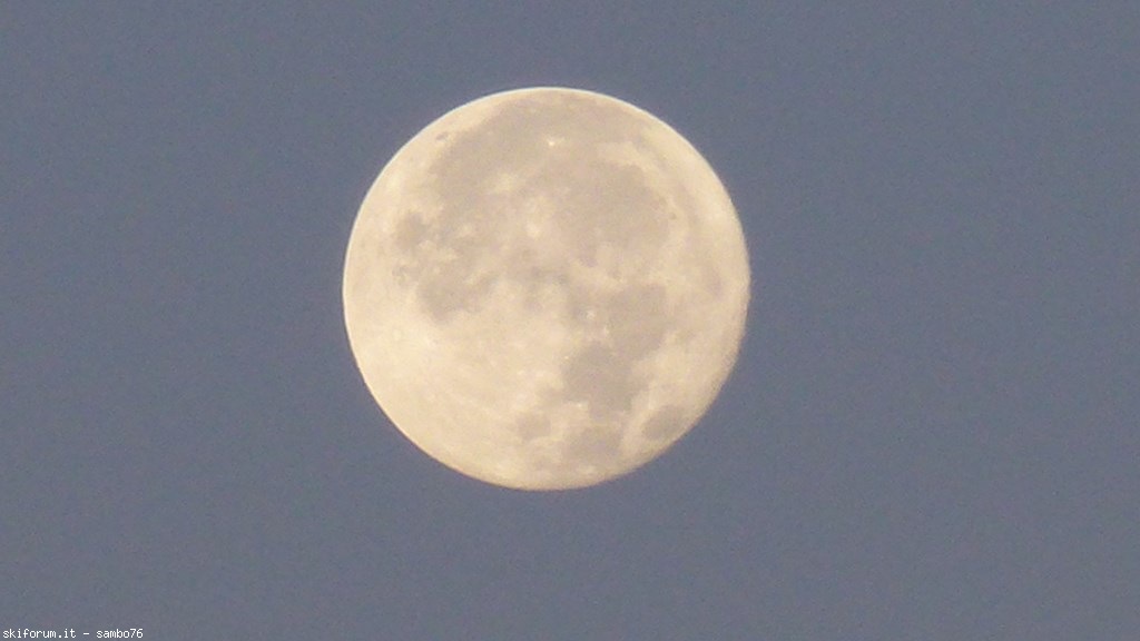 251302-p1190627.jpg
