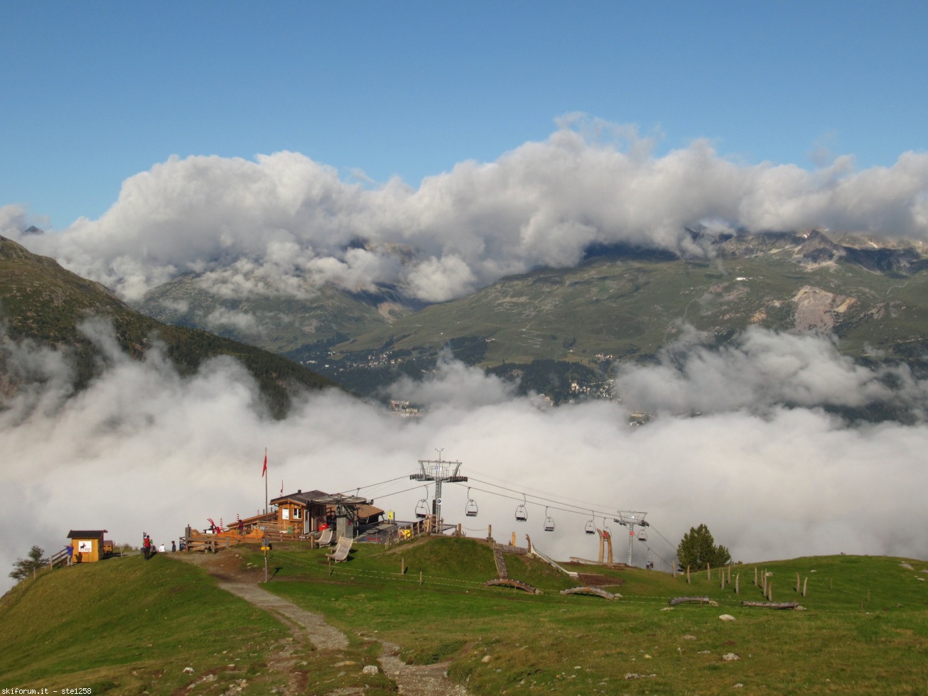 251317-languard-immagine-310.jpg