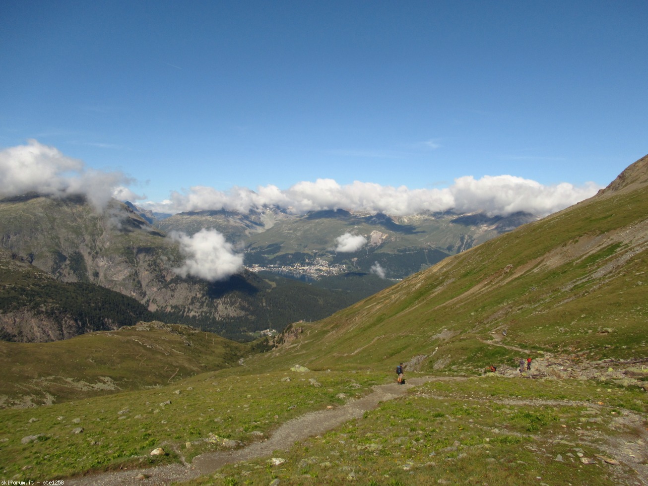 251320-languard-immagine-321.jpg