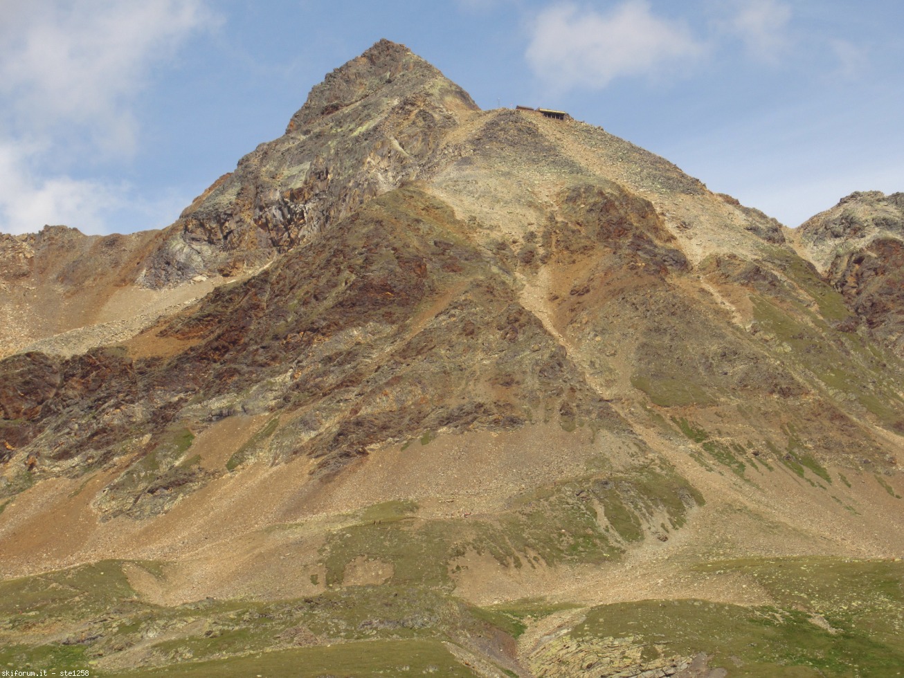 251341-languard-immagine-449.jpg