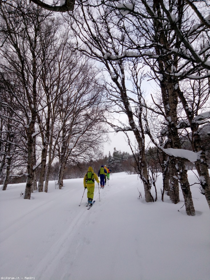 252610-norvegia-2018-03-29-1-511-si-sale-nel-bosco-1.jpg