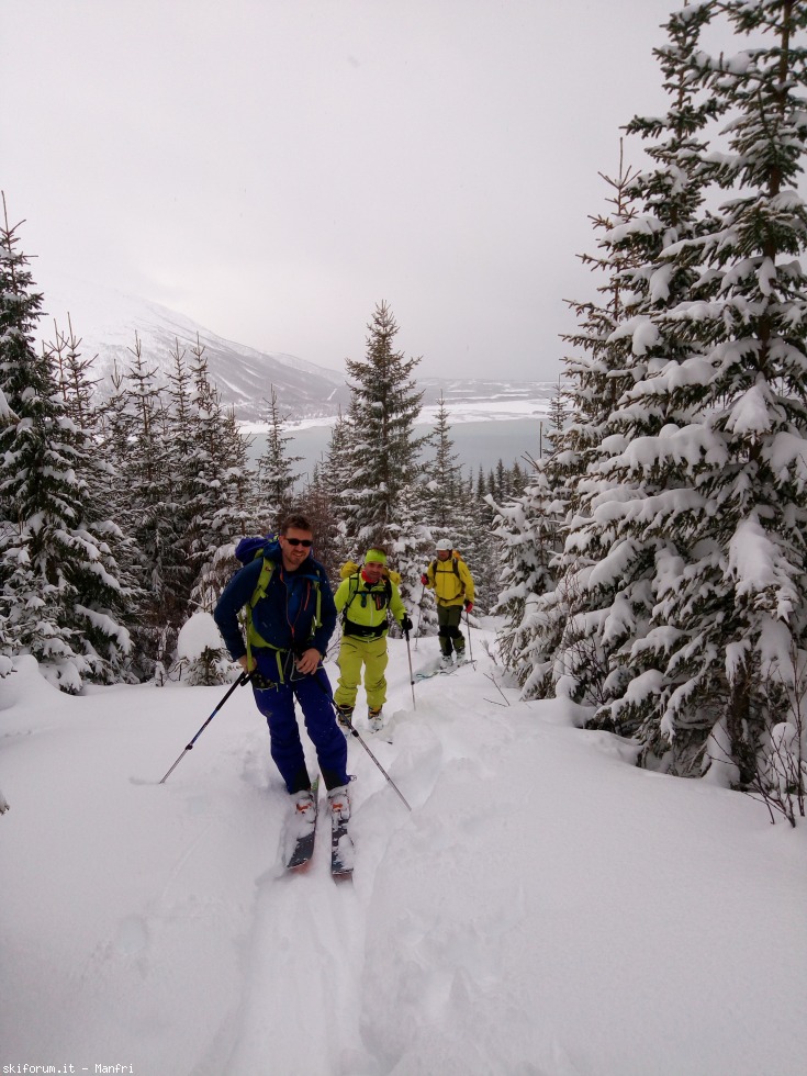 252614-norvegia-2018-03-29-1-515-si-sale-nel-bosco-5.jpg