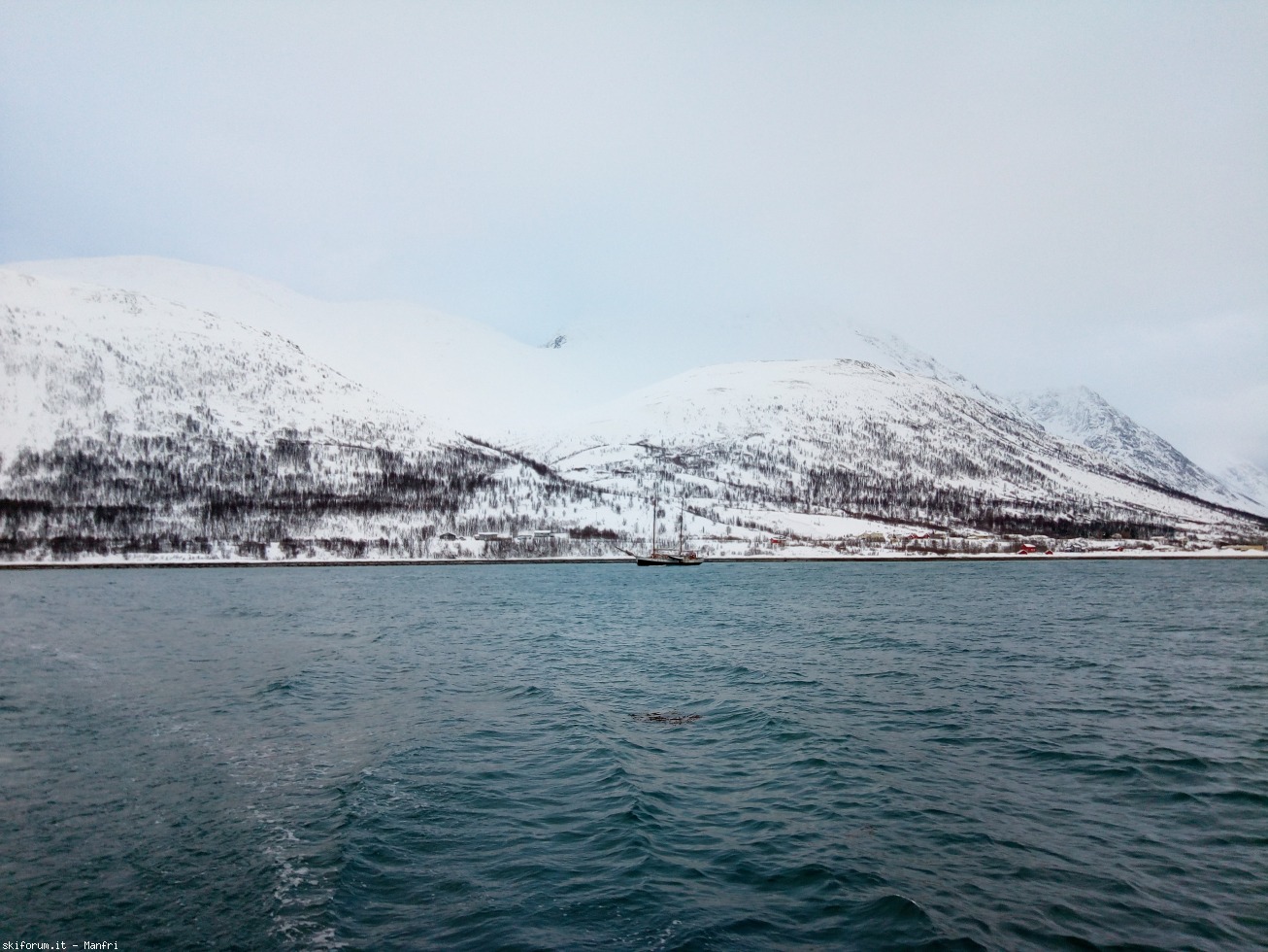 252638-norvegia-2018-03-29-2-567-scorci-dalla-barca-7.jpg
