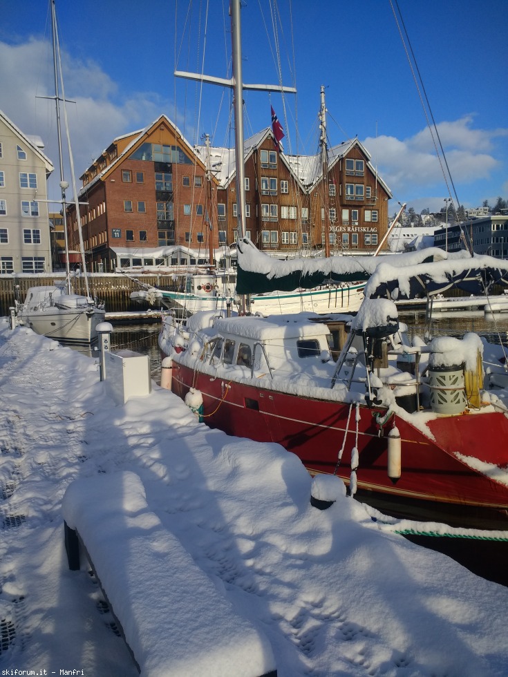 252686-norvegia-2018-03-31-2-711-barche-in-porto-1.jpg