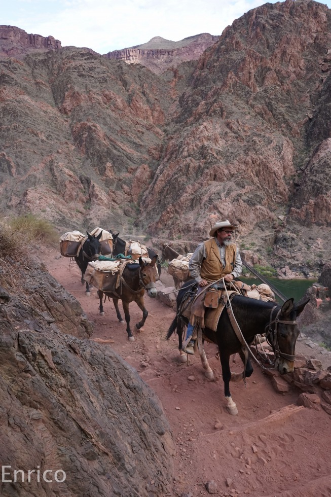253079-grand-canyon-30.jpg