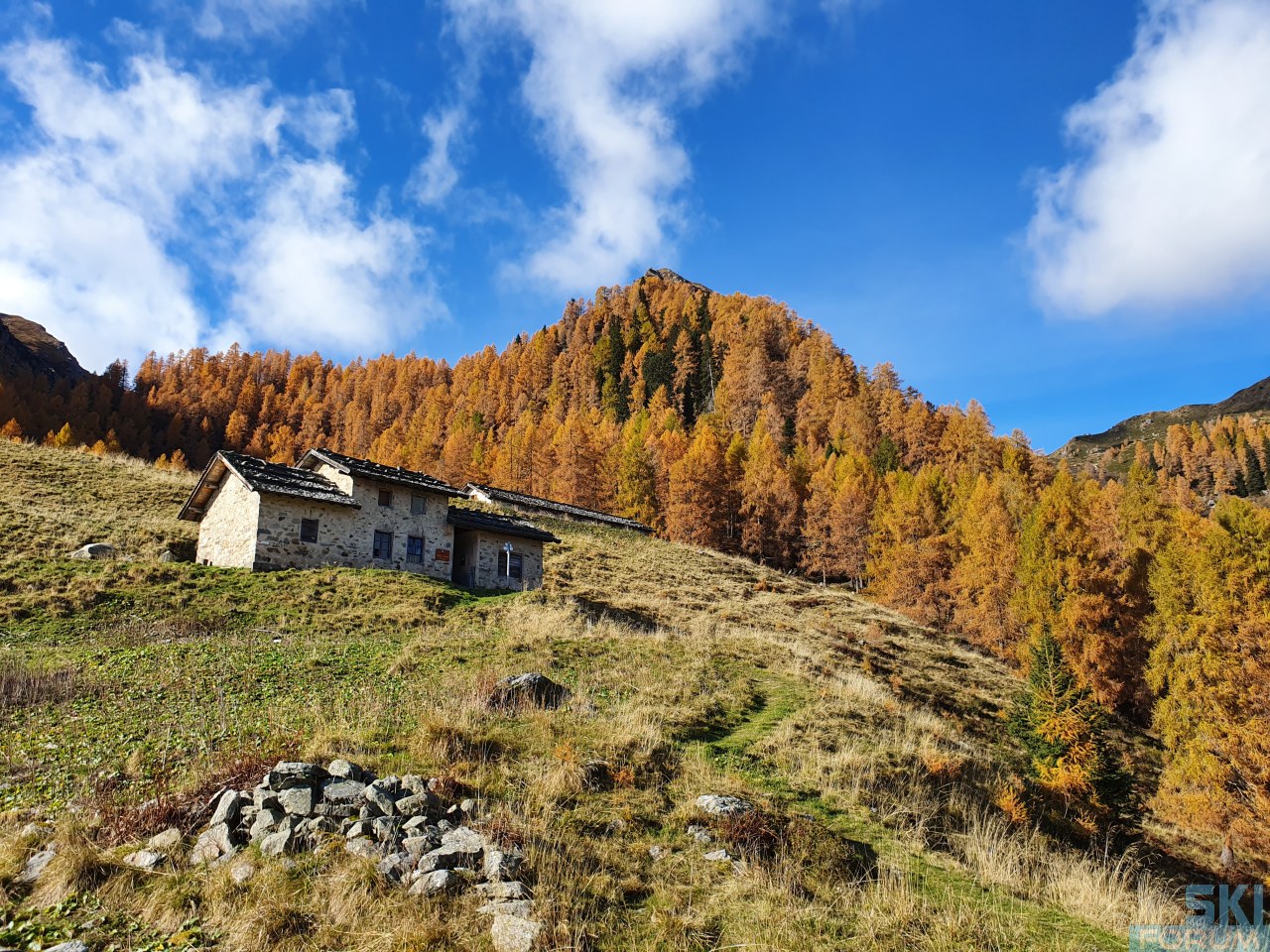 253871-malga-scanaiol.jpg