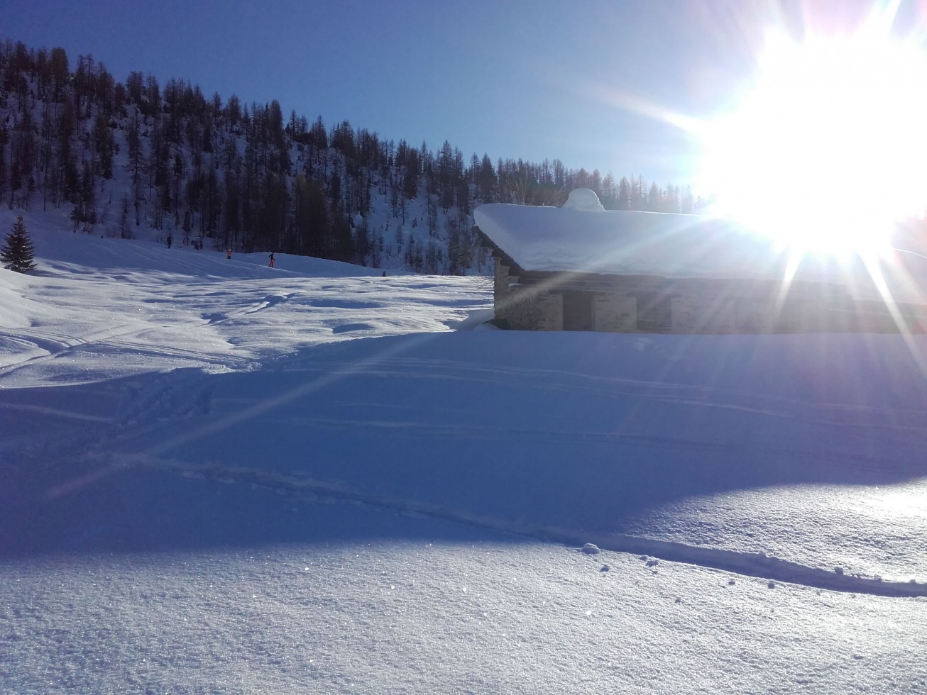 256303-img-20191130-wa0025.jpeg