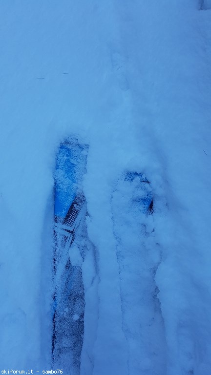 256904-20191202100535.jpg