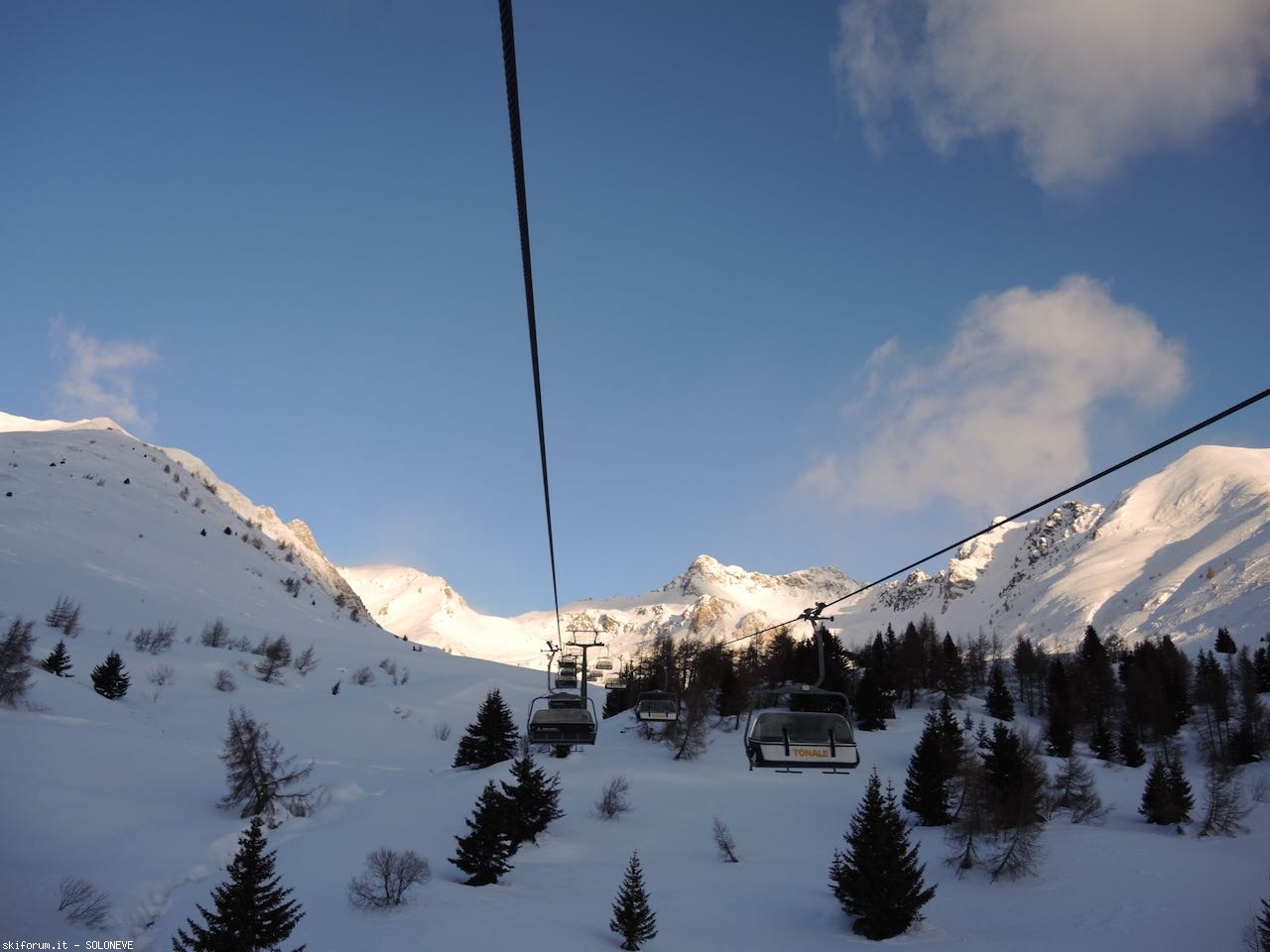 260960-tonale1.jpeg