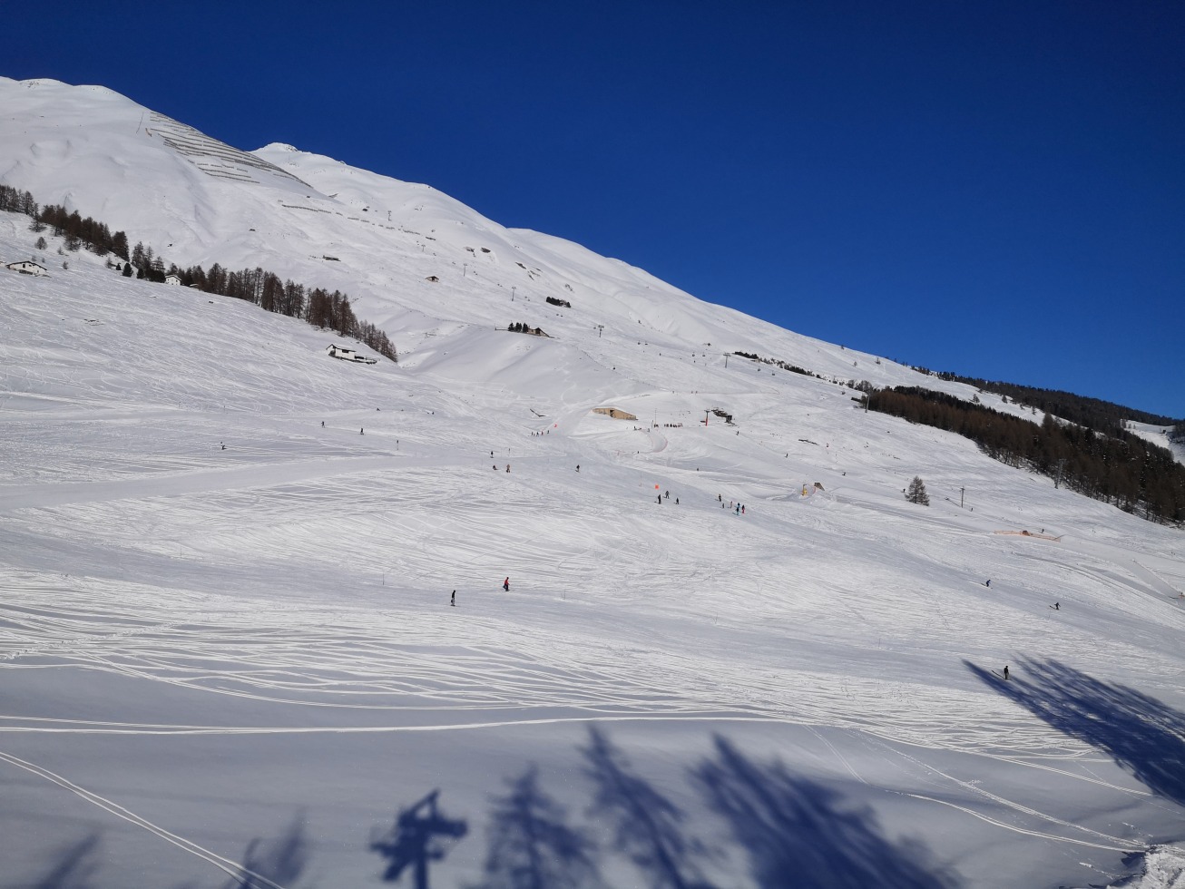 261283-zuoz-img20191229121256.jpg