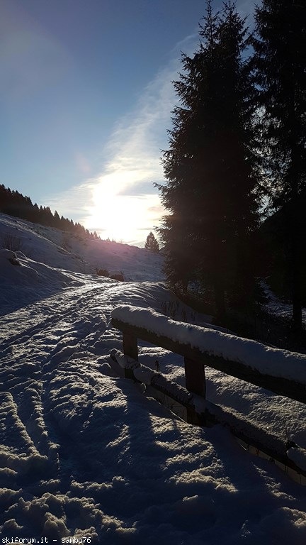 262550-20200121085515-01.jpeg