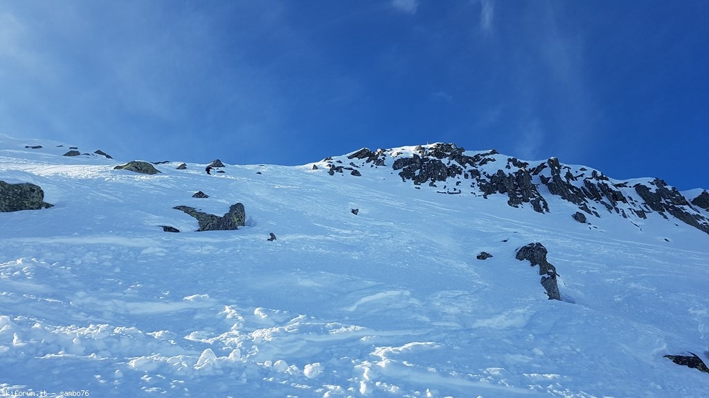 262561-20200121131523.jpg