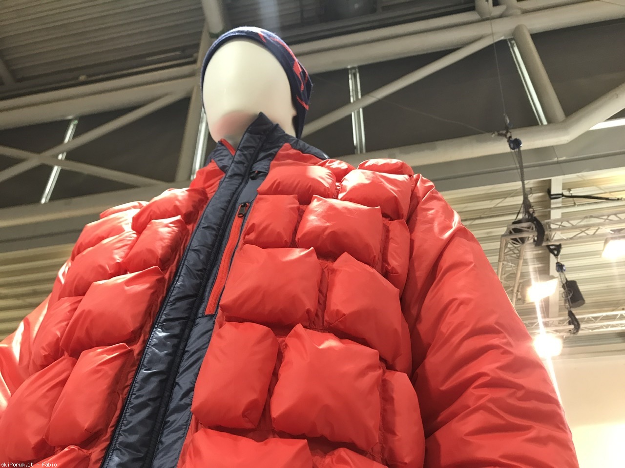 262765-marmot-48cdd39a-d257-43e6-8e77-e1060c53437f.jpeg