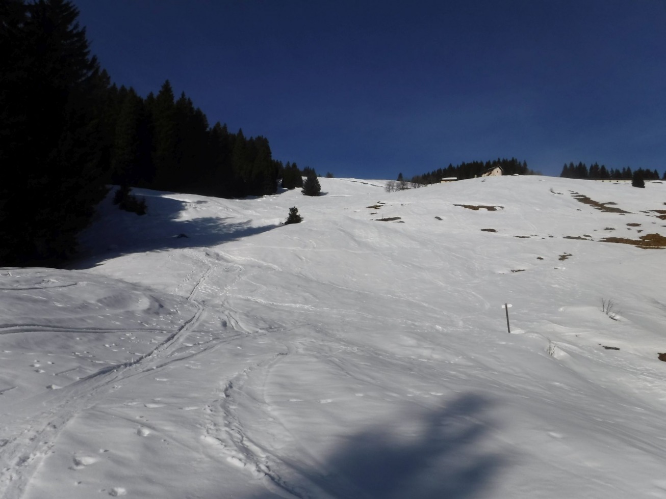 263739-cengledino-2-febbraio-2020-5.jpg