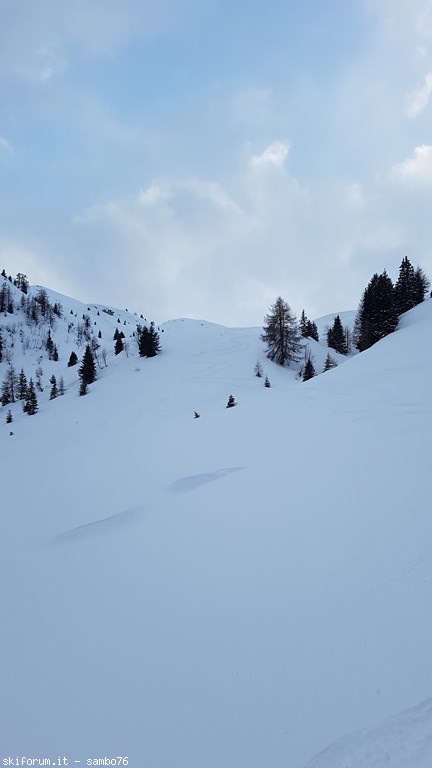 264181-20200205162629.jpg
