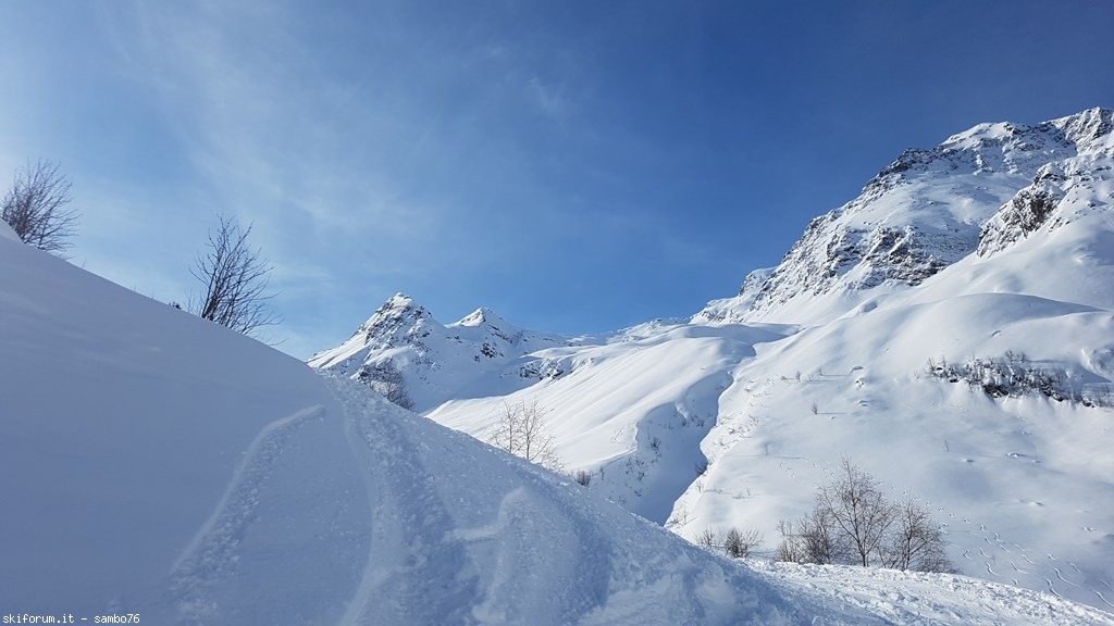 265192-20200213110145.jpg