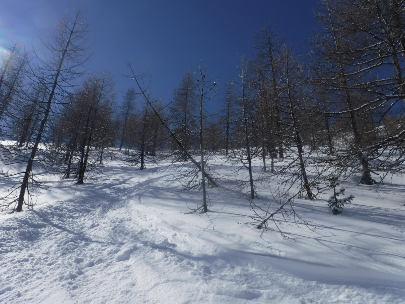 265878-cheneil-1-mar-2020-63.jpg