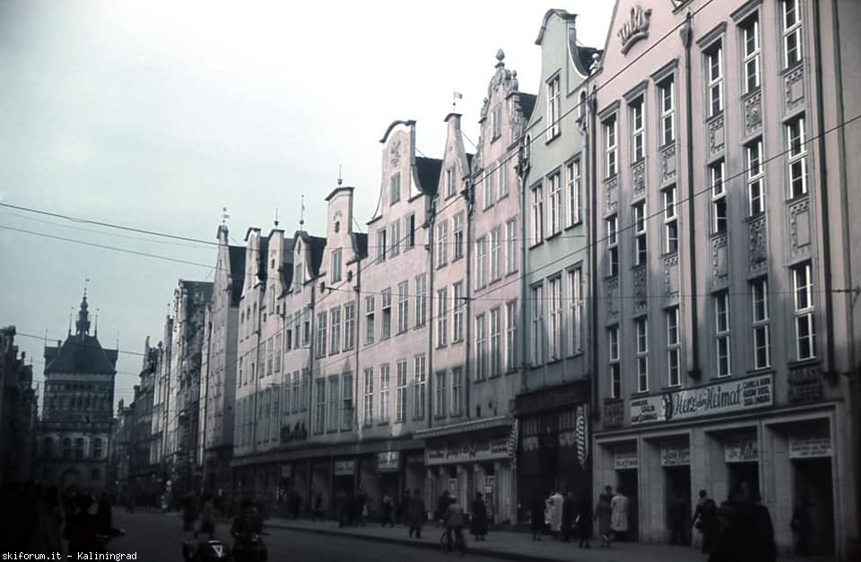 272072-danzig-17.jpg