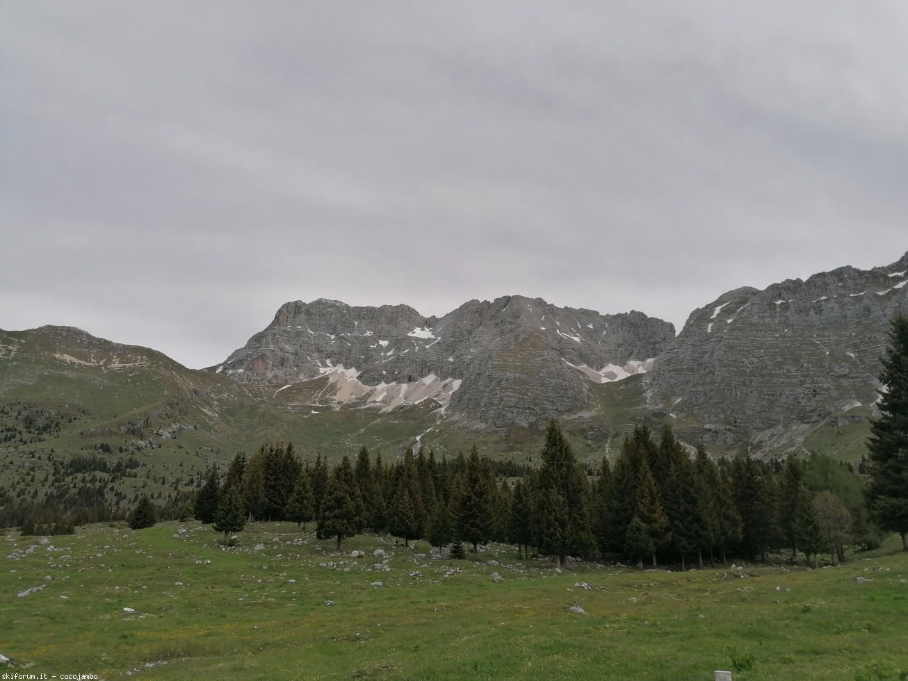 272626-2020-05-24-08.53.05.jpg