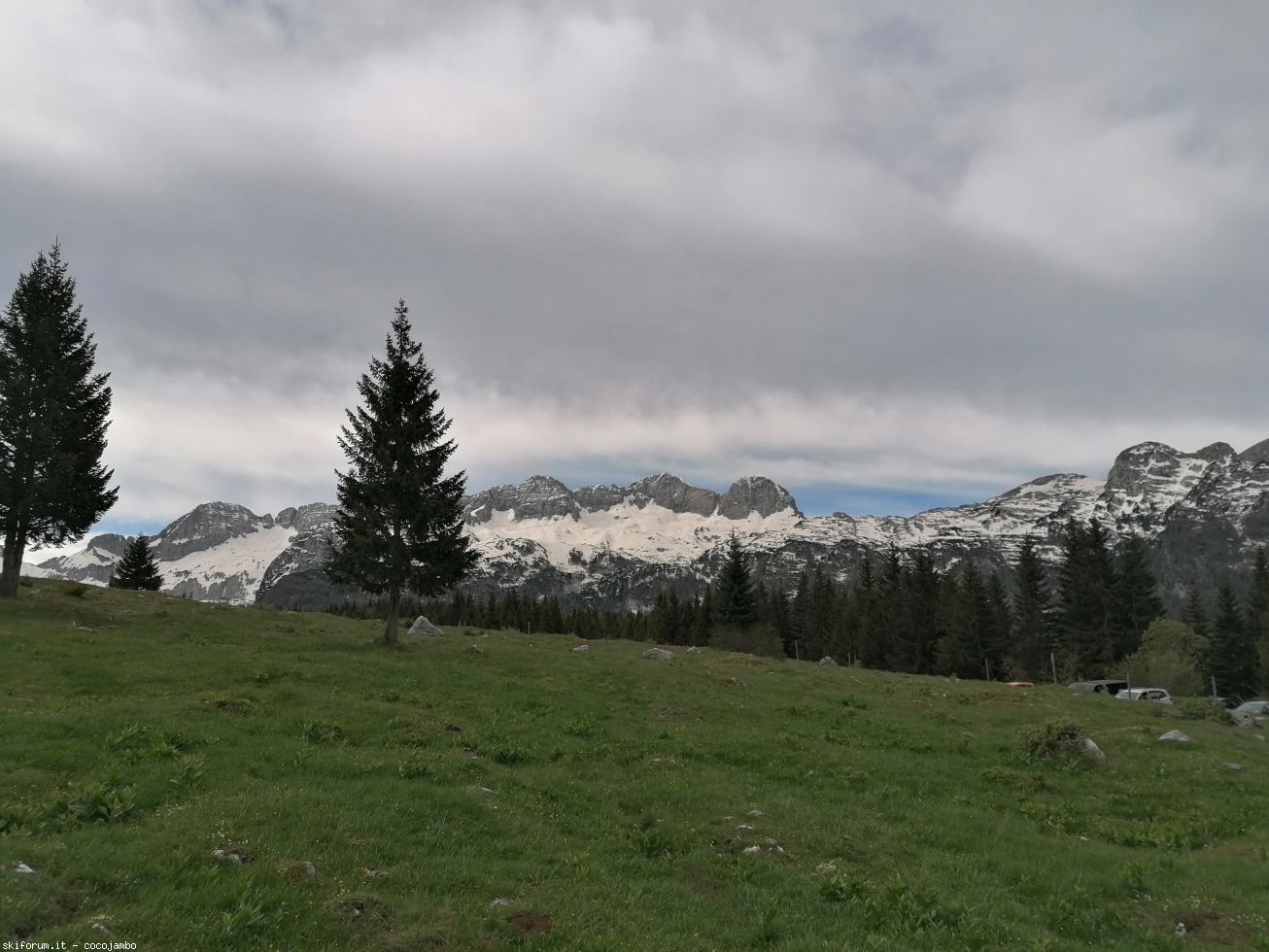 272628-2020-05-24-08.53.34.jpg