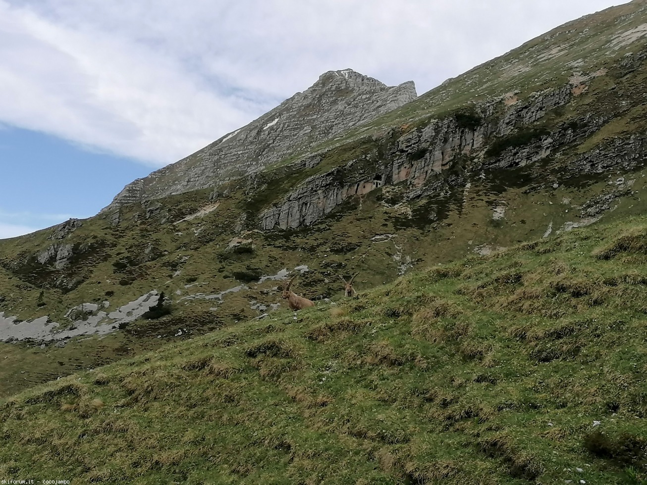 272632-2020-05-24-09.52.30.jpg