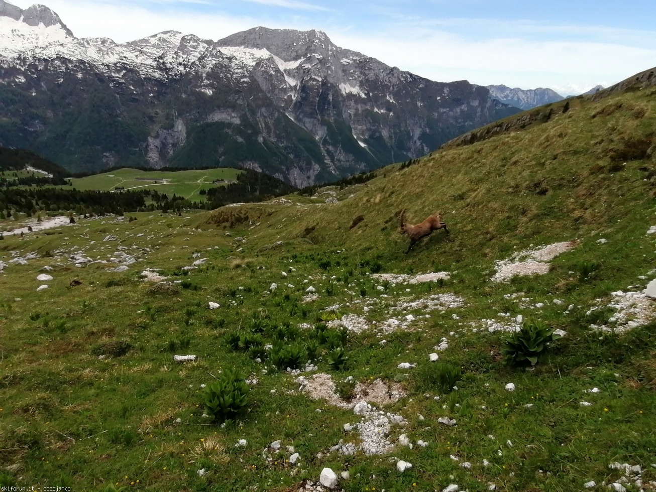 272634-2020-05-24-09.53.18.jpg